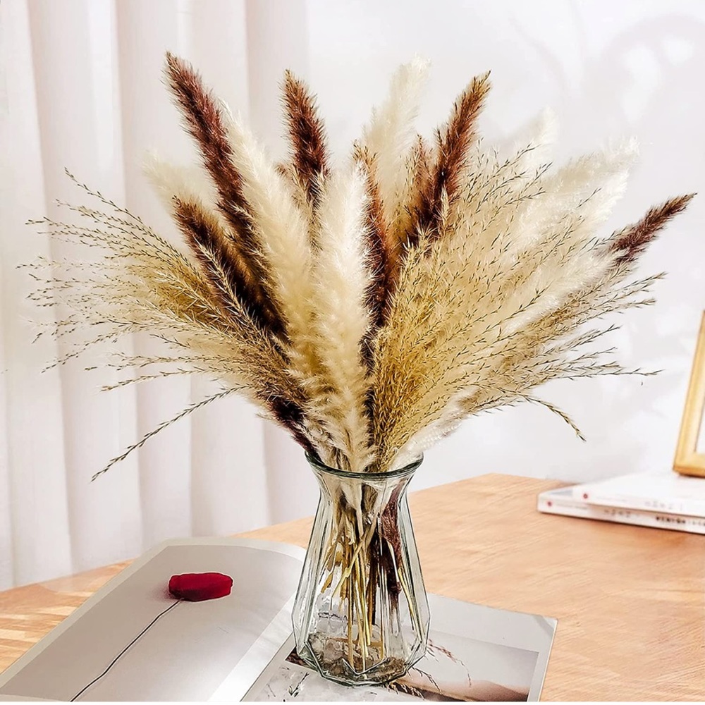Natural Dried Pampas Grass